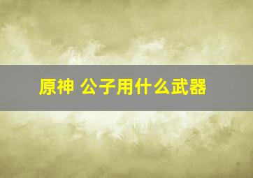 原神 公子用什么武器